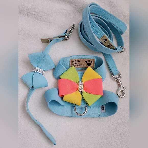 Susan Lanci Harness + Collar + Leash (XS) - Picture 1 of 8